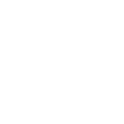 home.main